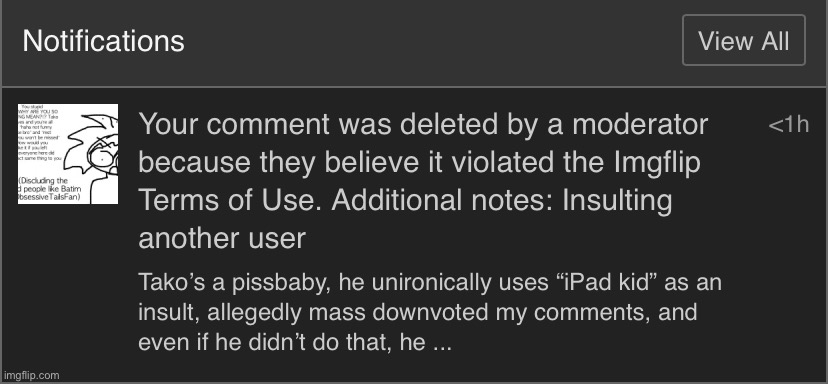 kind of ironic to delete it “insulting another user” not like the user in question harasses other people, and allegedly tried to | made w/ Imgflip meme maker