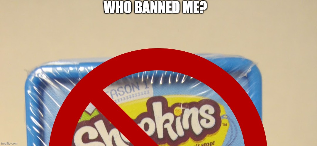 from MSMG | WHO BANNED ME? | made w/ Imgflip meme maker