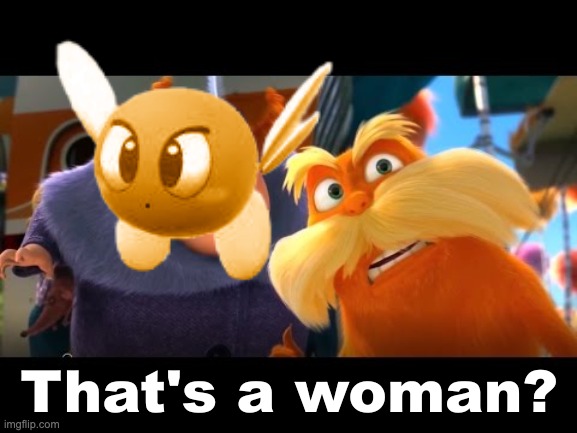 erm wtf | image tagged in that's a woman,memes,funny,smg4,smgzeta,fanlore | made w/ Imgflip meme maker