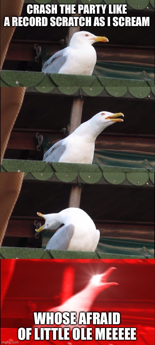 Inhaling Seagull Meme | CRASH THE PARTY LIKE A RECORD SCRATCH AS I SCREAM; WHOSE AFRAID OF LITTLE OLE MEEEEE | image tagged in memes,inhaling seagull | made w/ Imgflip meme maker