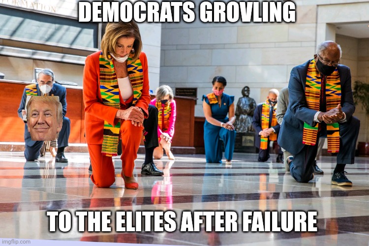 They're just disgusting | DEMOCRATS GROVLING; TO THE ELITES AFTER FAILURE | image tagged in democrats kneeling | made w/ Imgflip meme maker