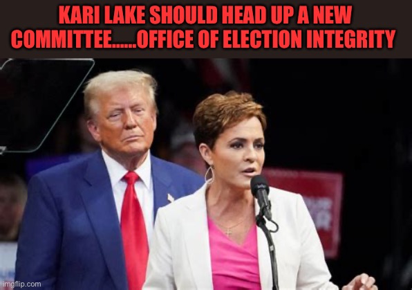 Enact the Carter-Baker election recommendations | KARI LAKE SHOULD HEAD UP A NEW COMMITTEE……OFFICE OF ELECTION INTEGRITY | image tagged in gifs,democrats,election fraud,president trump | made w/ Imgflip meme maker