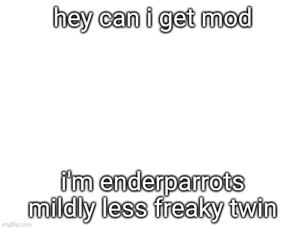 (f note: can he??? pls??) (end note: PWEASE PWEASE I BEG YOU LIKE I BEG TO LOONA PWEASE PWEASE MAKE HIM MOD!!) | hey can i get mod; i'm enderparrots mildly less freaky twin | made w/ Imgflip meme maker