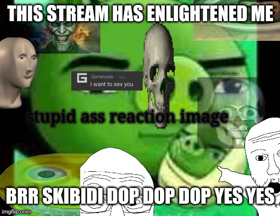 Plz mod me in this sigma stream | THIS STREAM HAS ENLIGHTENED ME; BRR SKIBIDI DOP DOP DOP YES YES | image tagged in stupid ass reaction image | made w/ Imgflip meme maker