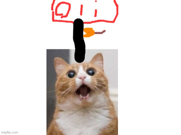 OIL | image tagged in cat,dumb,oil | made w/ Imgflip meme maker