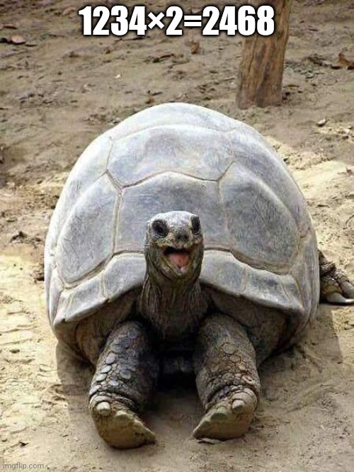 Happy turtle | 1234×2=2468 | image tagged in happy turtle | made w/ Imgflip meme maker