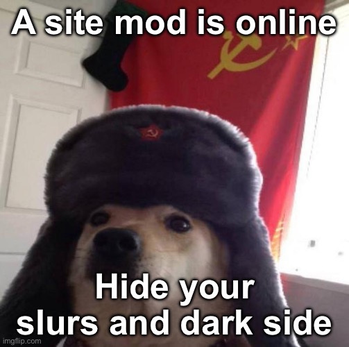 Careful | A site mod is online; Hide your slurs and dark side | image tagged in russian doge | made w/ Imgflip meme maker