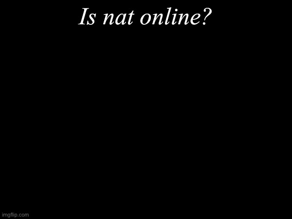 Is he online? | Is nat online? | image tagged in msmg | made w/ Imgflip meme maker