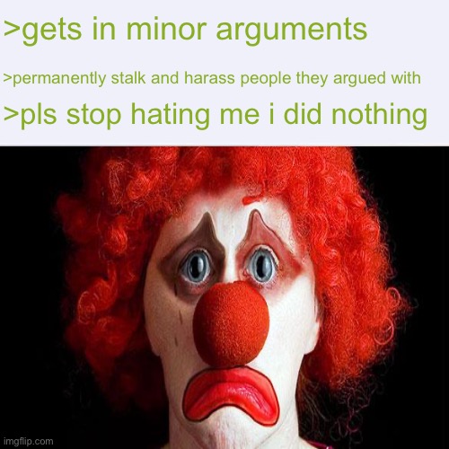 Edited slightly | >gets in minor arguments; >permanently stalk and harass people they argued with; >pls stop hating me i did nothing | image tagged in green text cat | made w/ Imgflip meme maker