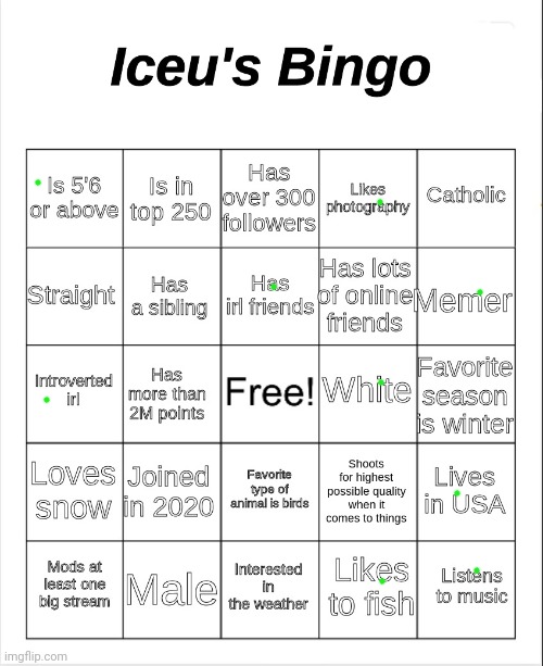 Iceu's Bingo | image tagged in iceu's bingo | made w/ Imgflip meme maker