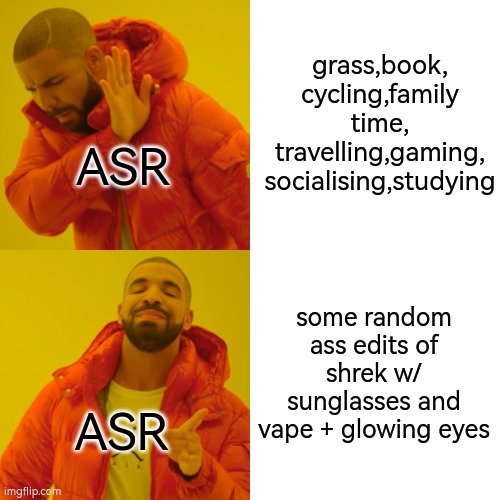 *nt* s*gm* r*zzl*rs do be a complete douchebag | grass,book,
cycling,family time,
travelling,gaming,
socialising,studying; ASR; some random ass edits of shrek w/ sunglasses and vape + glowing eyes; ASR | image tagged in drake,drake meme,sigma rizzlers | made w/ Imgflip meme maker