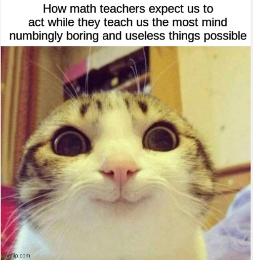 when we try to meet the expectations | image tagged in lol so funny,funny cat memes | made w/ Imgflip meme maker