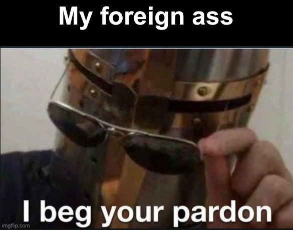 I beg your pardon | My foreign ass | image tagged in i beg your pardon | made w/ Imgflip meme maker