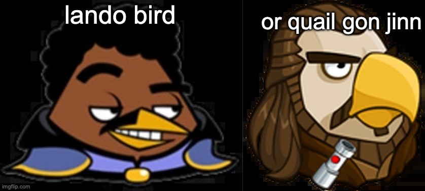 or quail gon jinn; lando bird | image tagged in lando bird,quail gon jinn | made w/ Imgflip meme maker