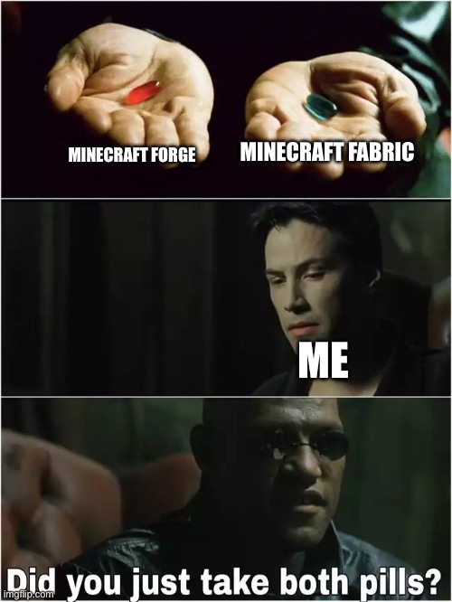 Yes. Yes I did. | MINECRAFT FABRIC; MINECRAFT FORGE; ME | image tagged in did you just take both pills | made w/ Imgflip meme maker