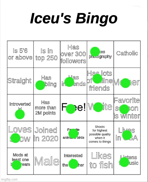 No bingo :( | image tagged in iceu's bingo | made w/ Imgflip meme maker