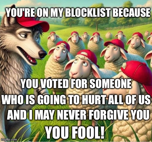 Maga are fools and ruined the world | YOU'RE ON MY BLOCKLIST BECAUSE; YOU VOTED FOR SOMEONE; WHO IS GOING TO HURT ALL OF US; AND I MAY NEVER FORGIVE YOU; YOU FOOL! | image tagged in maga are sheep | made w/ Imgflip meme maker