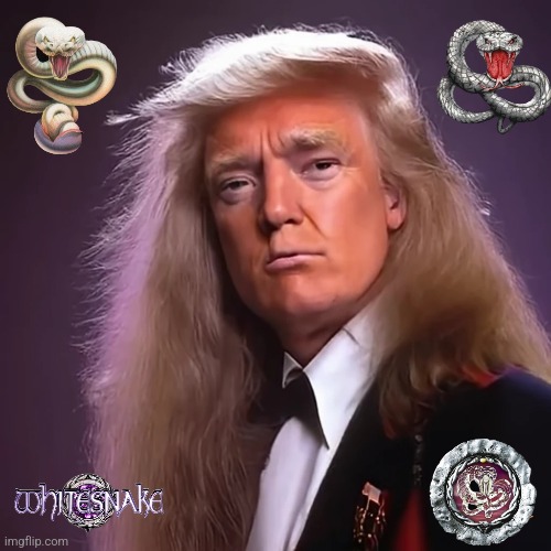 New singer for Whitesnake. | made w/ Imgflip meme maker