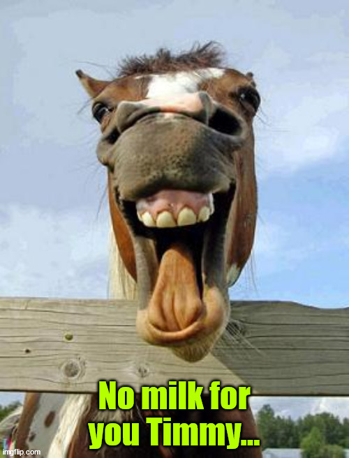 horsesmile | No milk for you Timmy... | image tagged in horsesmile | made w/ Imgflip meme maker