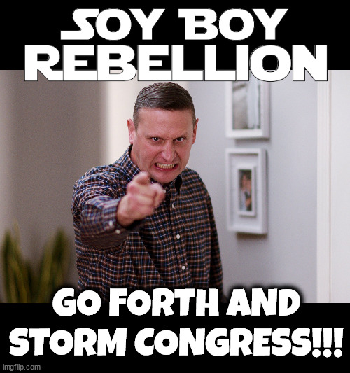 Liberal Jan 6 | GO FORTH AND
STORM CONGRESS!!! | image tagged in what did they do to us,rigged elections,crying liberal,liberal tears,congress,january 6 | made w/ Imgflip meme maker