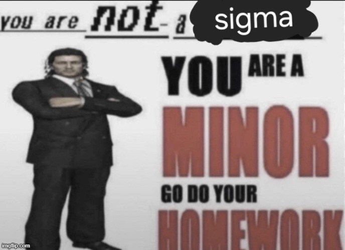 You Are A Minor Go Do Your Homework | image tagged in you are a minor go do your homework | made w/ Imgflip meme maker