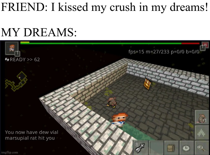 FRIEND: I kissed my crush in my dreams!
 
MY DREAMS: | image tagged in games,gifs,memes,shattered pixel dungeon | made w/ Imgflip meme maker