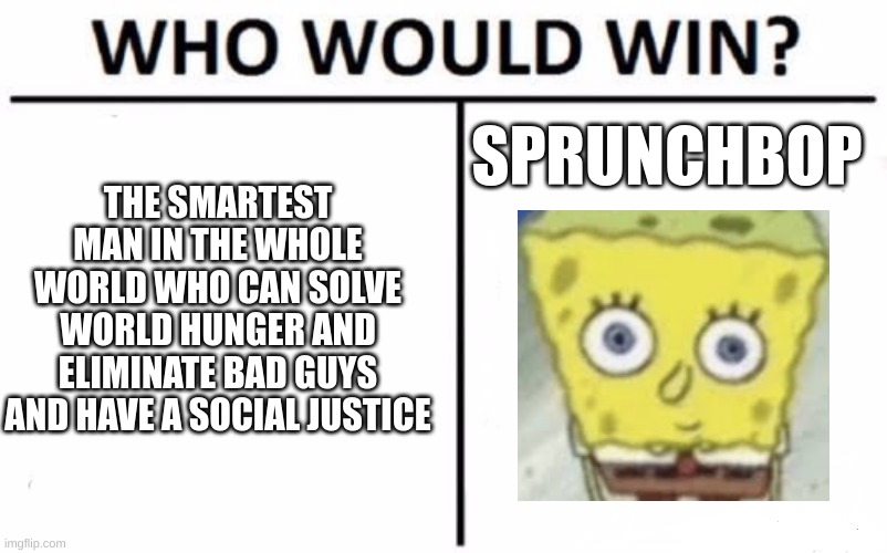 Who Would Win? | SPRUNCHBOP; THE SMARTEST MAN IN THE WHOLE WORLD WHO CAN SOLVE WORLD HUNGER AND ELIMINATE BAD GUYS AND HAVE A SOCIAL JUSTICE | image tagged in memes,who would win | made w/ Imgflip meme maker