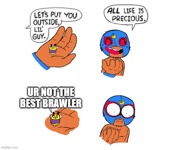 meme 10 | UR NOT THE BEST BRAWLER | image tagged in life is precious | made w/ Imgflip meme maker