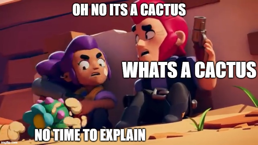 meme 11 | OH NO ITS A CACTUS; WHATS A CACTUS; NO TIME TO EXPLAIN | image tagged in shelly no time to explain | made w/ Imgflip meme maker