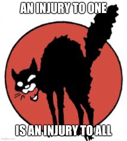 We are all comrades | AN INJURY TO ONE; IS AN INJURY TO ALL | image tagged in angry sabo tabby,communism,anarchism | made w/ Imgflip meme maker