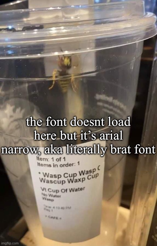 kamala harris reference?! | the font doesnt load here but it’s arial narrow, aka literally brat font | image tagged in wasp cup wasp cup wasp cup wasp cup wasp cup wasp cup wasp cup | made w/ Imgflip meme maker