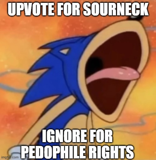 anti upvote beggars will be mad about this | UPVOTE FOR SOURNECK; IGNORE FOR PEDOPHILE RIGHTS | image tagged in sonic scream | made w/ Imgflip meme maker