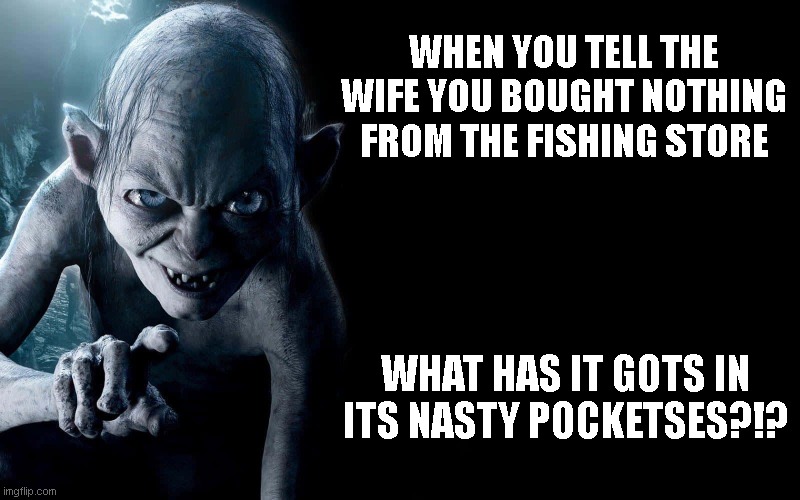 Gollum | WHEN YOU TELL THE WIFE YOU BOUGHT NOTHING FROM THE FISHING STORE; WHAT HAS IT GOTS IN ITS NASTY POCKETSES?!? | image tagged in gollum,lotr,marriage,wife,husband wife | made w/ Imgflip meme maker