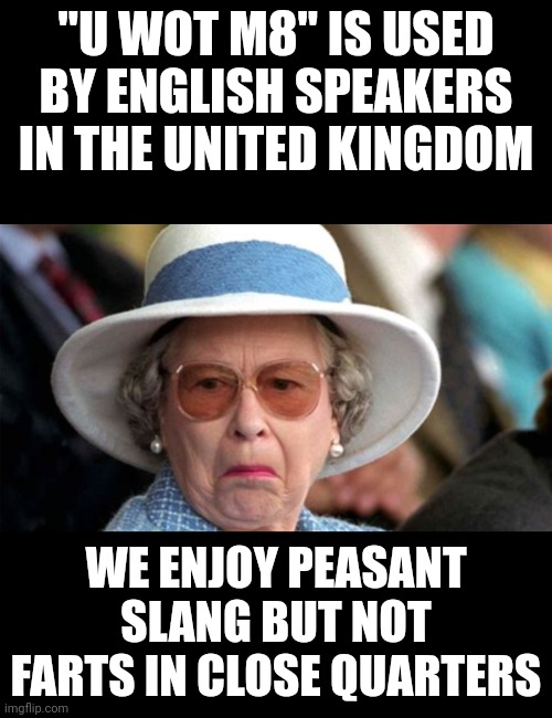 "U WOT M8" IS USED BY ENGLISH SPEAKERS IN THE UNITED KINGDOM WE ENJOY PEASANT SLANG BUT NOT FARTS IN CLOSE QUARTERS | made w/ Imgflip meme maker