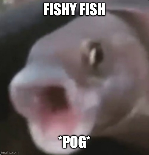 Poggers Fish | FISHY FISH; *POG* | image tagged in poggers fish | made w/ Imgflip meme maker