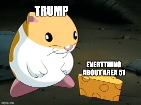 hopefully he will tell us! | TRUMP; EVERYTHING ABOUT AREA 51 | image tagged in goofy ahh hampter with cheez,memes,funny,trump,conservatives,area 51 | made w/ Imgflip meme maker