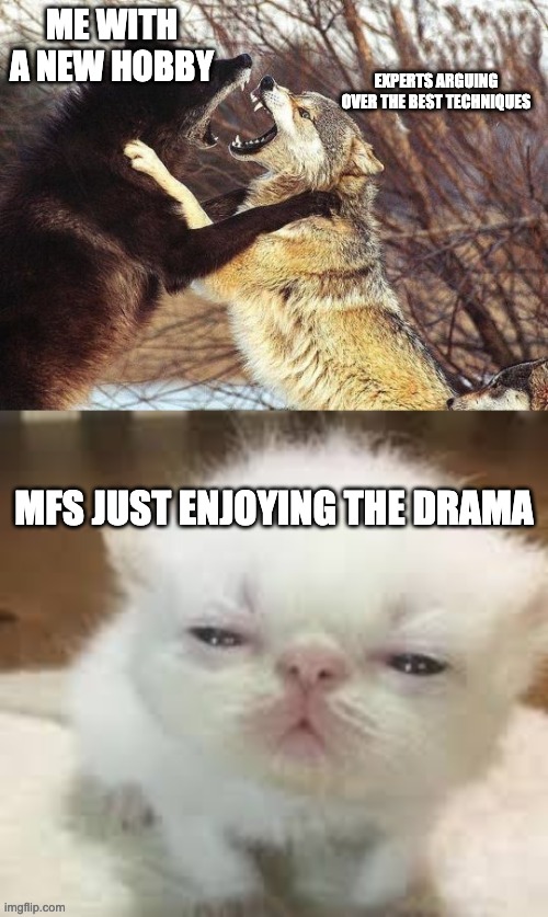 ai lol (i edited it) | ME WITH A NEW HOBBY; EXPERTS ARGUING OVER THE BEST TECHNIQUES; MFS JUST ENJOYING THE DRAMA | image tagged in kitten watching wolves fighting,memes,funny,wtf,oh wow are you actually reading these tags,eh | made w/ Imgflip meme maker