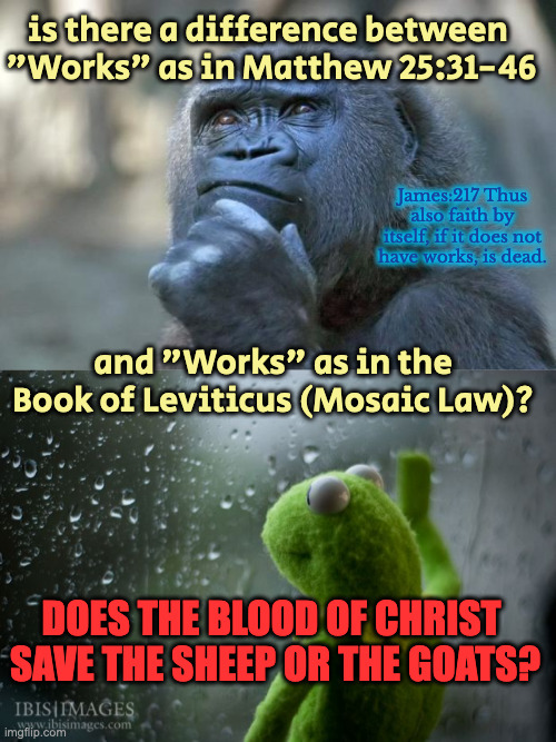 Faith and Works | is there a difference between 
"Works" as in Matthew 25:31-46; James:217 Thus also faith by itself, if it does not have works, is dead. and "Works" as in the Book of Leviticus (Mosaic Law)? DOES THE BLOOD OF CHRIST 
SAVE THE SHEEP OR THE GOATS? | image tagged in that is the question,kermit window | made w/ Imgflip meme maker