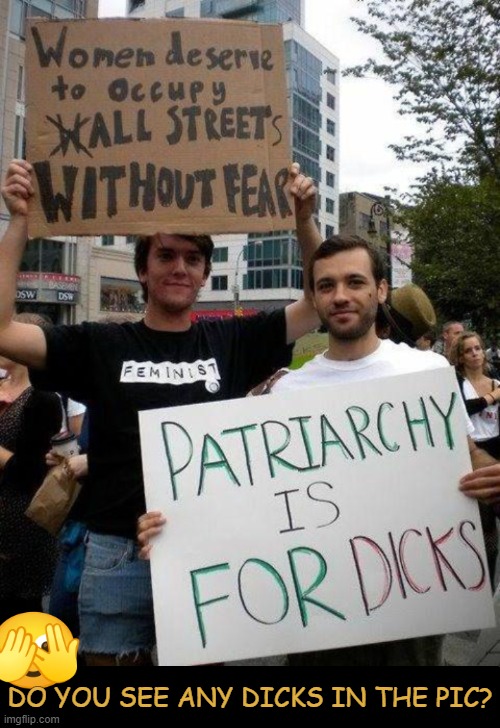 Question for today... | DO YOU SEE ANY DICKS IN THE PIC? | image tagged in sjws,feminists,male feminist,patriarchy,peeking emoji,stupid signs | made w/ Imgflip meme maker