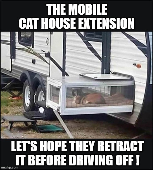 Living Dangerously ? | THE MOBILE CAT HOUSE EXTENSION; LET'S HOPE THEY RETRACT IT BEFORE DRIVING OFF ! | image tagged in cats,caravan,extension | made w/ Imgflip meme maker