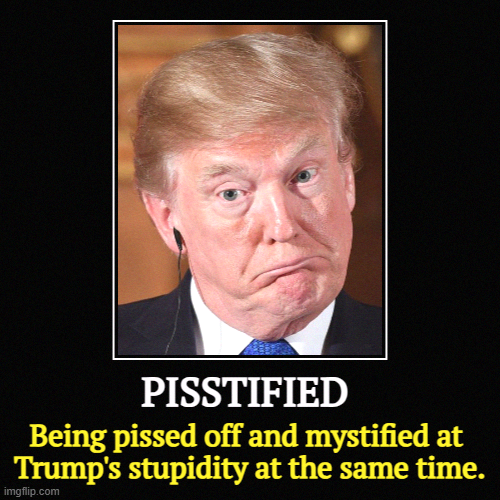 PISSTIFIED | Being pissed off and mystified at 
Trump's stupidity at the same time. | image tagged in funny,demotivationals,trump,stupidity,incompetence,frustration | made w/ Imgflip demotivational maker