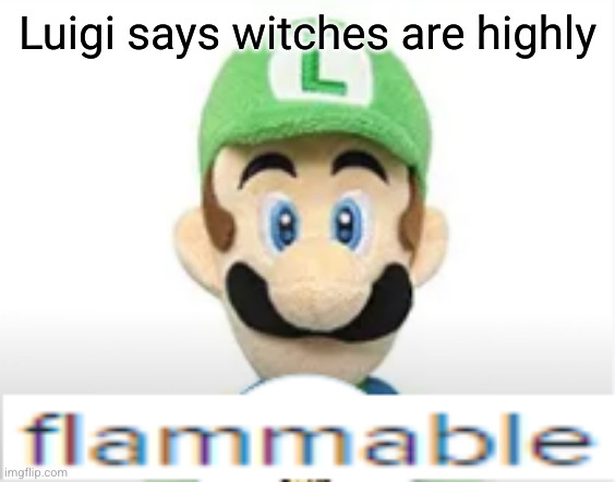 Flammable | Luigi says witches are highly | image tagged in flammable | made w/ Imgflip meme maker