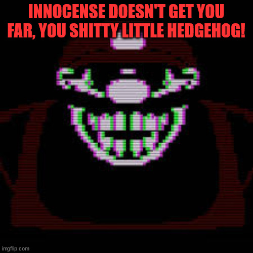 INNOCENSE DOESN'T GET YOU FAR, YOU SHITTY LITTLE HEDGEHOG! | image tagged in mx | made w/ Imgflip meme maker