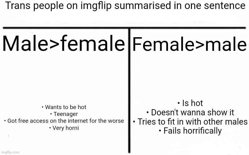 Take what I'm saying with a grain of salt :3 | Trans people on imgflip summarised in one sentence; Male>female; Female>male; • Is hot
• Doesn't wanna show it
• Tries to fit in with other males
• Fails horrifically; • Wants to be hot
• Teenager
• Got free access on the internet for the worse
• Very horni | image tagged in who would win blank | made w/ Imgflip meme maker