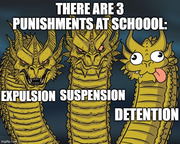 3 school punishments | THERE ARE 3 PUNISHMENTS AT SCHOOOL:; EXPULSION; SUSPENSION; DETENTION | image tagged in hot,school,punishment,idiot | made w/ Imgflip meme maker