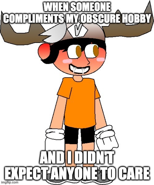 SMG5 blushing | WHEN SOMEONE COMPLIMENTS MY OBSCURE HOBBY; AND I DIDN'T EXPECT ANYONE TO CARE | image tagged in smg5 blushing,memes,funny,smg5,smg4,oh wow are you actually reading these tags | made w/ Imgflip meme maker