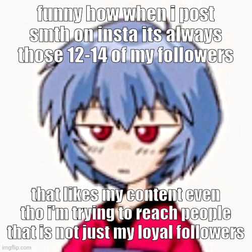 Rei :3 | funny how when i post smth on insta its always those 12-14 of my followers; that likes my content even tho i'm trying to reach people that is not just my loyal followers | image tagged in rei 3 | made w/ Imgflip meme maker