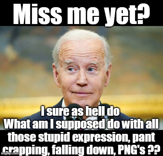 Say what you want The Prick was a GOLD MINE | Miss me yet? I sure as hell do 
What am I supposed do with all those stupid expression, pant crapping, falling down, PNG's ?? | image tagged in memers delight biden meme | made w/ Imgflip meme maker