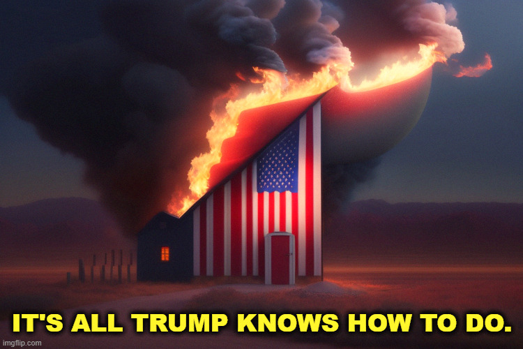 IT'S ALL TRUMP KNOWS HOW TO DO. | image tagged in trump,destroy,america,american flag | made w/ Imgflip meme maker