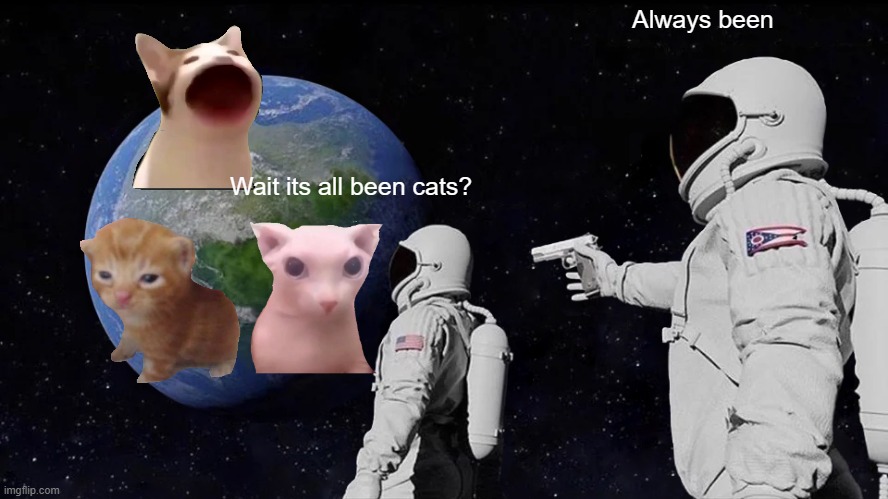 Always Has Been | Always been; Wait its all been cats? | image tagged in memes,always has been | made w/ Imgflip meme maker